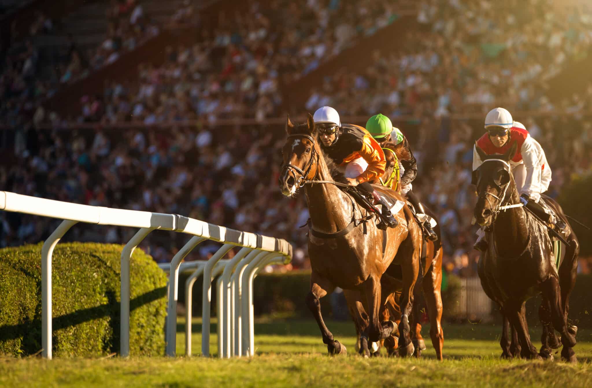 Two,Jockeys,During,Horse,Races,On,His,Horses,Going,Towards